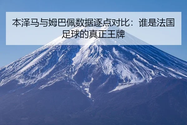 ben-ze-ma-yu-mu-ba-pei-shu-ju-zhu-dian-dui-bi-shui-shi-fa-guo-zu-qiu-de-zhen-zheng-wang-pai-2-752.jpg